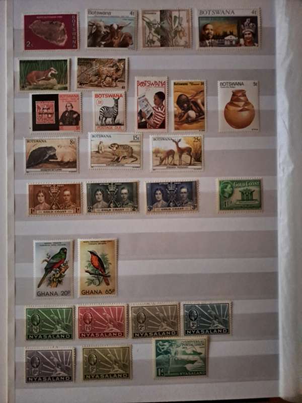 Mint Collection - BCW - Final Reduced price