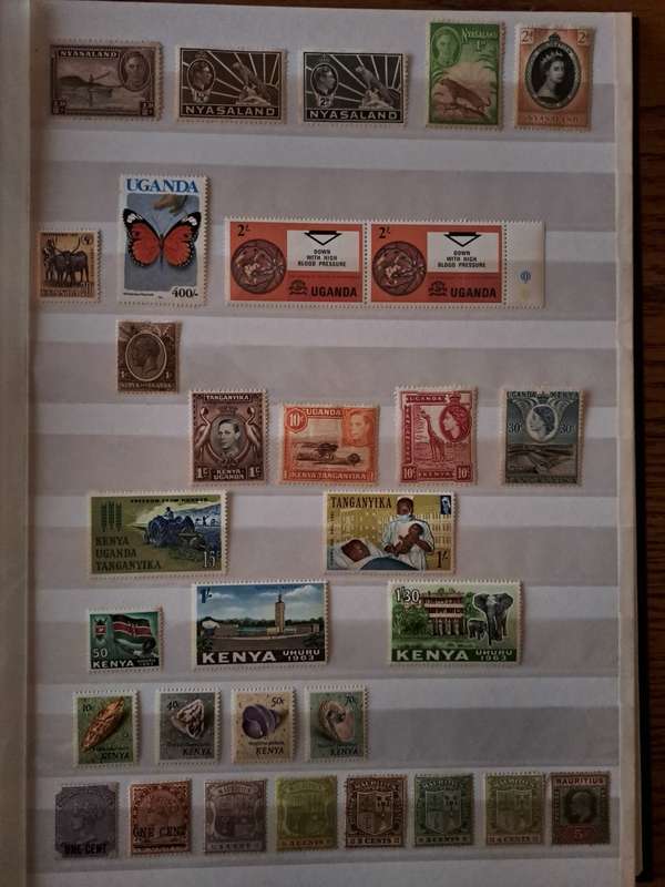 Mint Collection - BCW - Final Reduced price