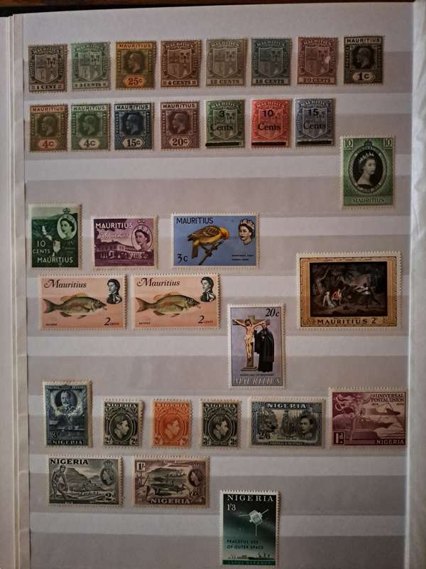 Mint Collection - BCW - Final Reduced price