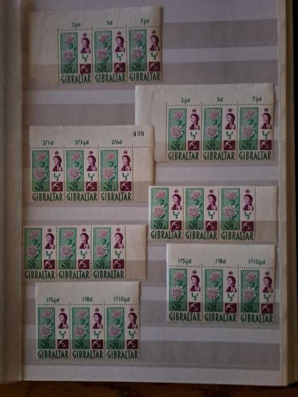 Mint Collection - BCW - Final Reduced price