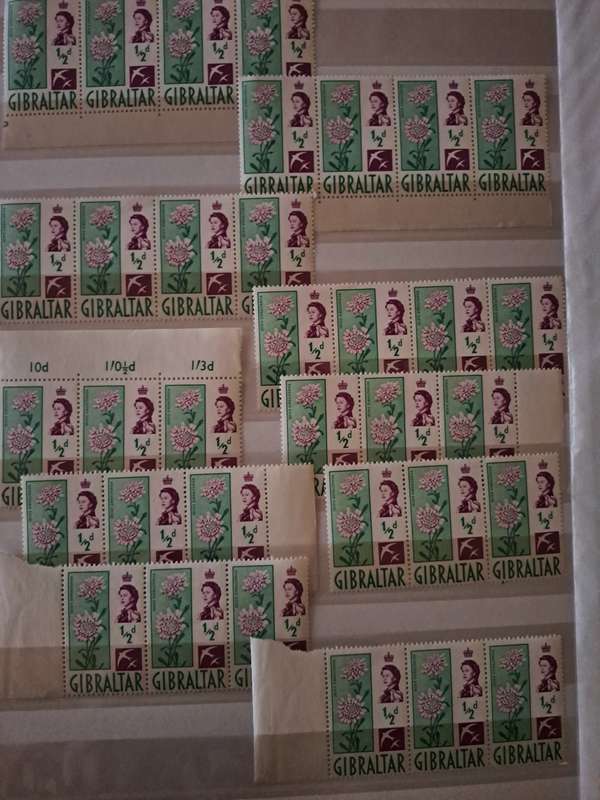 Mint Collection - BCW - Final Reduced price