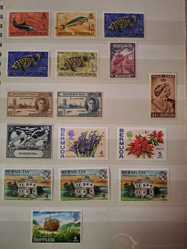 British Commonwealth - Mint Collection - 24 Pages - Final Reduced price