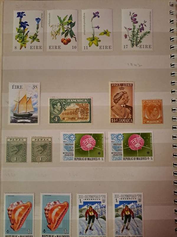 British Commonwealth - Mint Collection - 24 Pages - Final Reduced price