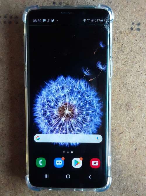 Samsung s9 (Ultimate beast)