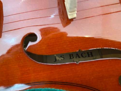 Sadner Bach Model 301 Violin + Teach yourself violin Kit