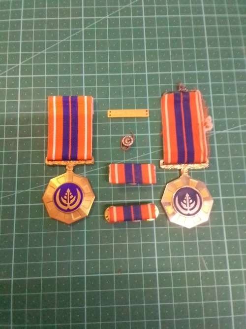 TWO PRO PATRIA MEDALS WITH BARS