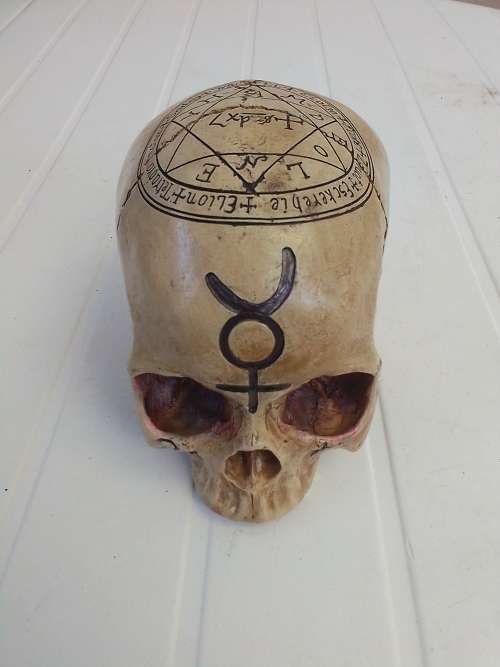 RESIN ENGRAVED SKULL