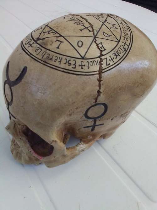 RESIN ENGRAVED SKULL