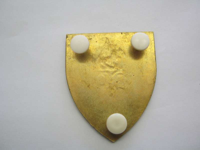 SP Guard flash.