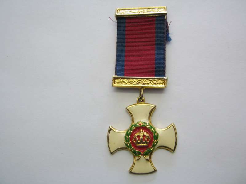 Uniface Copy of Distinguished Service Order Medal.
