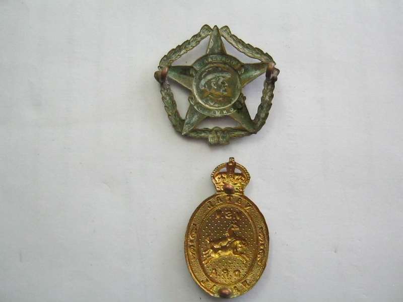 Lot of 2 SA Badges.
