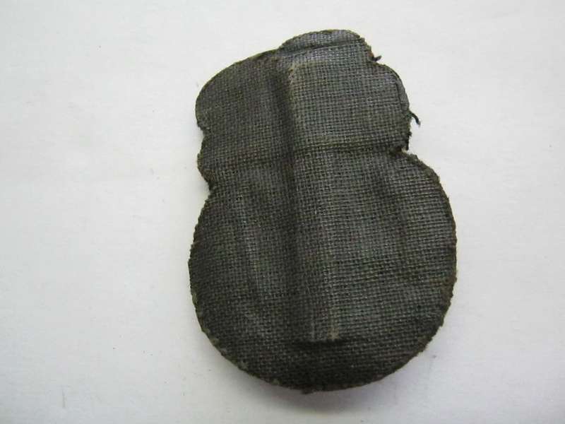 SA Navy Bullion Badge.