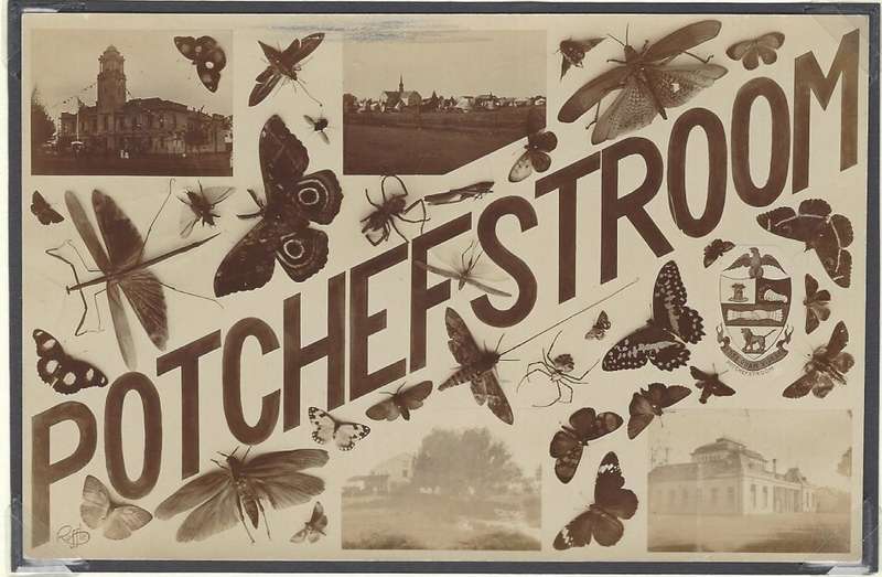 Transvaal: POTCHEFSTROOM CANTONMENT with the S.A.C. 2 cards. See below.