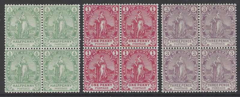 Cape 1893 set of 3 blocks superb MNH. CV R 2,880. SACC 53/5. See below.