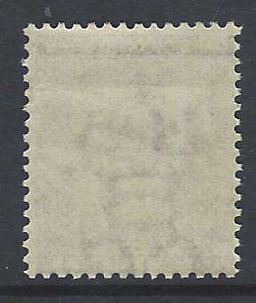 Cape 1875 1/2d pale greyish-black superb mint. SACC 23/SG 28. See below.
