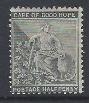 Cape 1875 1/2d pale greyish-black superb mint. SACC 23/SG 28. See below.