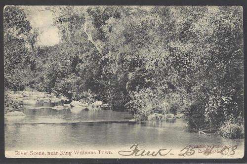 Cape: 1908 Historic postcard from KING WILLIAMS TOWN to the USA. See below.