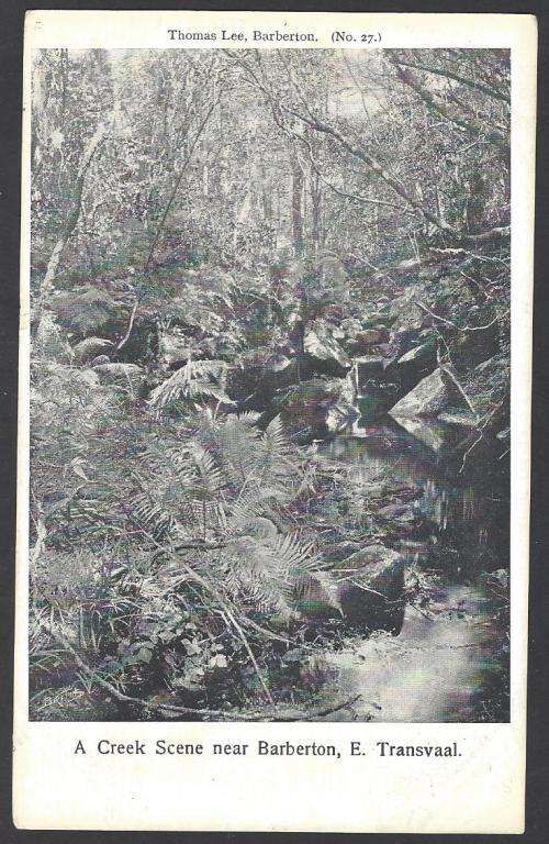 Transvaal 1908 Historic postcard from BARBERTON to the USA. See below.