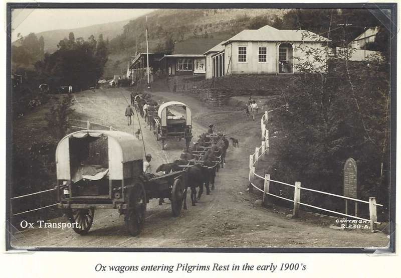 Transvaal: Scarce unused PILGRIMS REST postcard. See below.