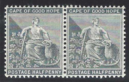 Cape 1886 pair SACC 43/SG 48 superb MNH. See below.
