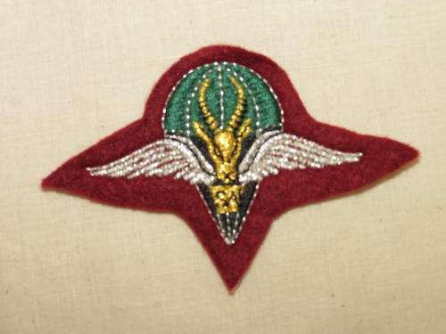 1 parachute battalion badge