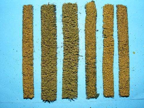 HO Hedges X 6