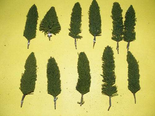 HO Trees X 11