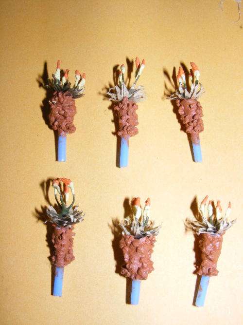 HO Aloe's X 6