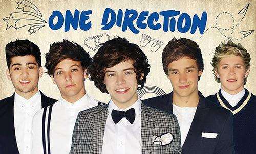 One Direction Cape Town 2015