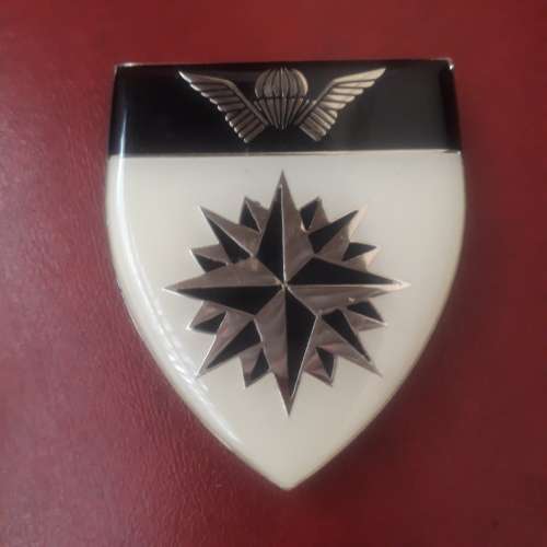 5 Recce Regiment shoulder flash