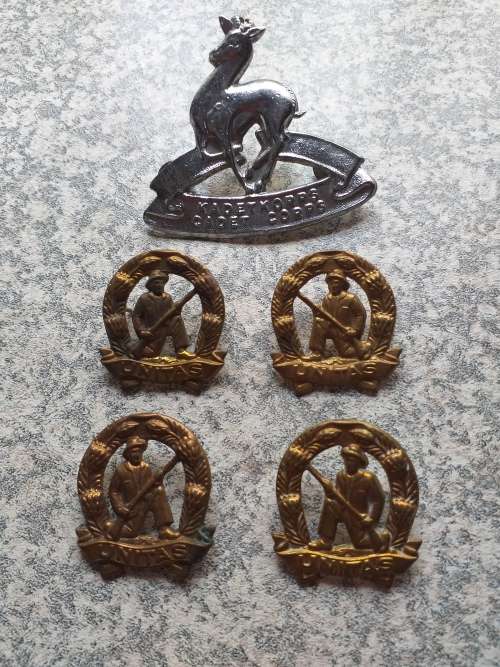 Cadet Cap,and Commando Collar badge sets,all pins