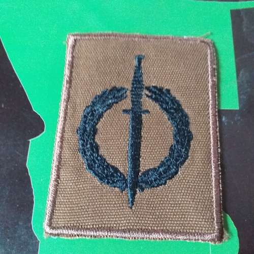Recce Operators  Breast badge