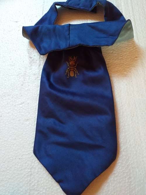 1 Construction Regiment Cravat