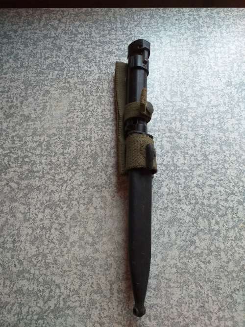 R1 Bayonet,Scubbard and Frog
