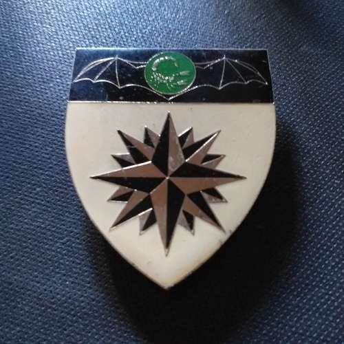 2 Recce Regiment approved 1983,right hand flash all pins intact