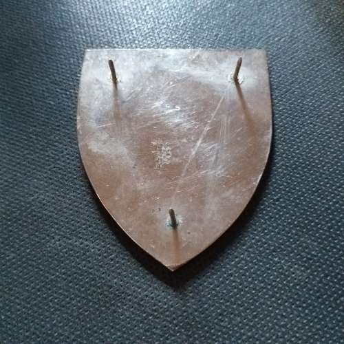 2 Recce Regiment approved 1983,right hand flash all pins intact