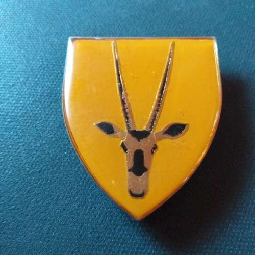 8 SA Infantry shoulder flash all pins intact