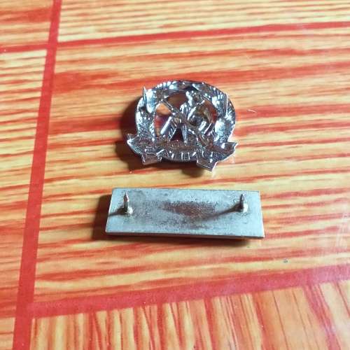 Commando Balkie and Beret badge. All pins intact.