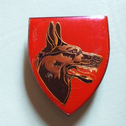 Sadf Dog School flash