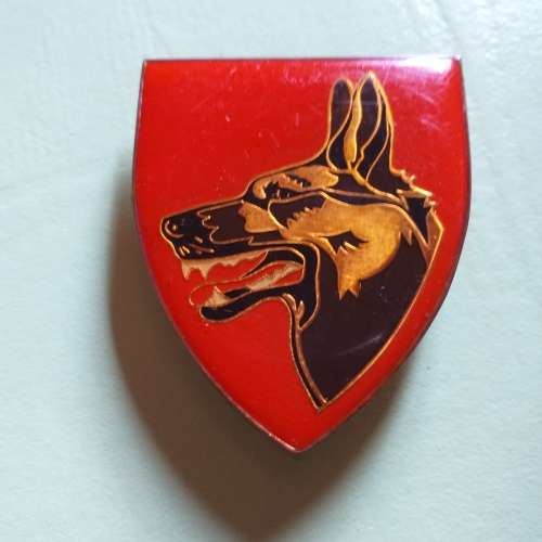 Sadf Dog School flash