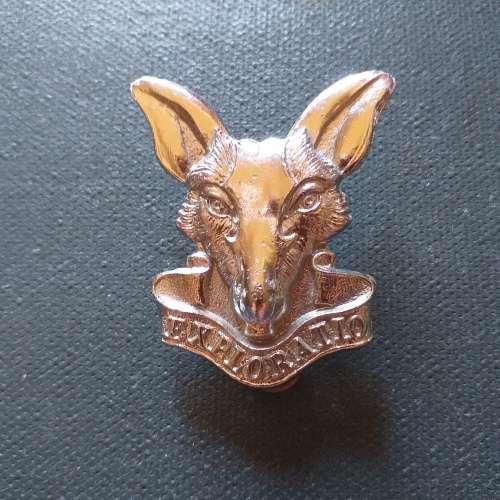 S.A Intelligence Corps, cap badge screw posts