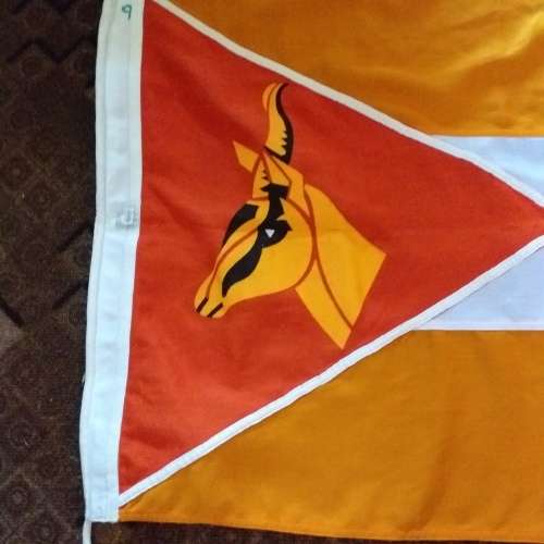Sadf Personnel Services Corps flag, 98 x 60cm
