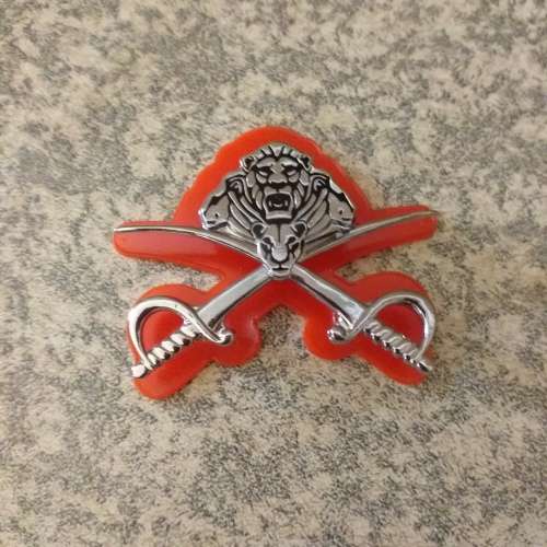 Sandf Pt Instructor badge