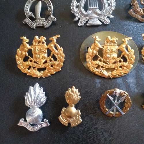 SADF Badges, all pins intact