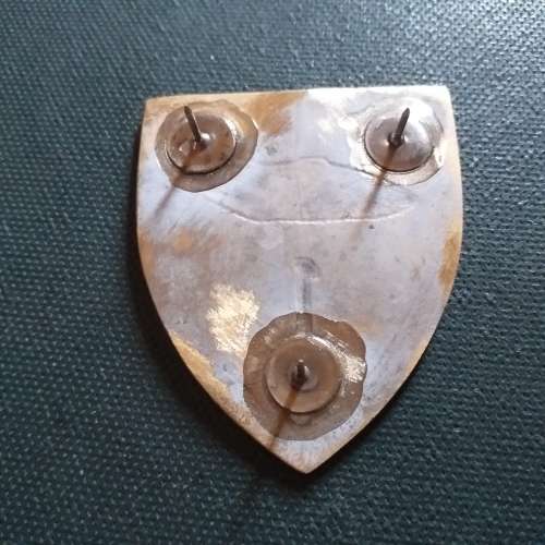 1 Light Horse Regiment , condition as per photo`s