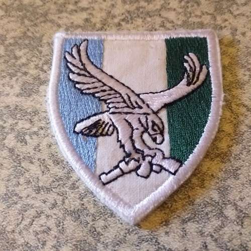 101 Battalion Reconnaissance patch