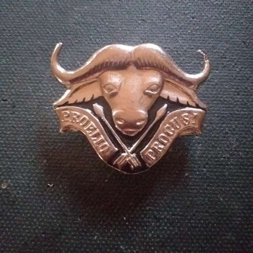 32 Battalion Beret badge,with pins.