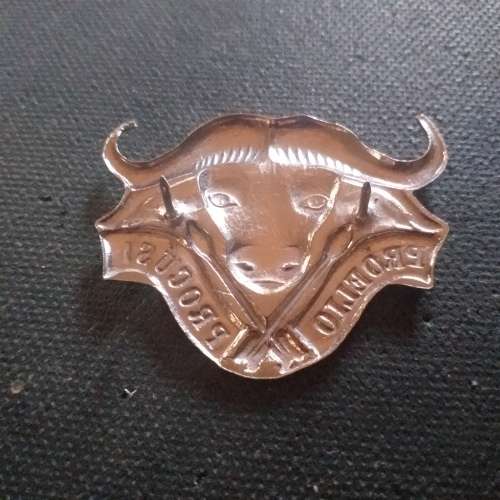 32 Battalion Beret badge,with pins.