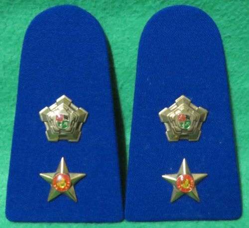 **SAP**1 SET - LIEUTENANT COLONEL RANKS**BOARDS**EXCELLENT CONDITION**