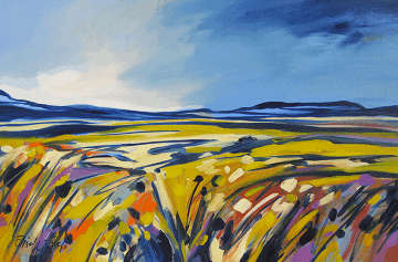 LARGE Original Namakwaland Landscape by Elise Wessels (1200 x 800)!!